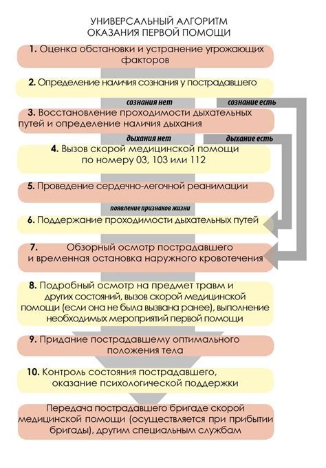 Активация настройки: идеальная последовательность действий для включения боксера