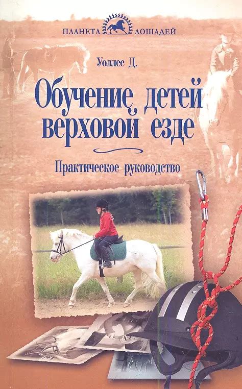 Аллегории и предсказания: влияние снов о верховой езде на нашу жизнь