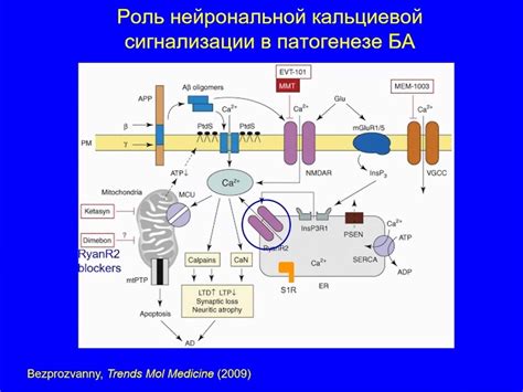 Альтернативные подходы к лечению непрозрачности перед взором