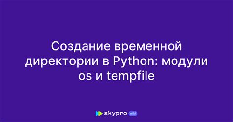 Анализ занимаемого пространства внутри директории Python