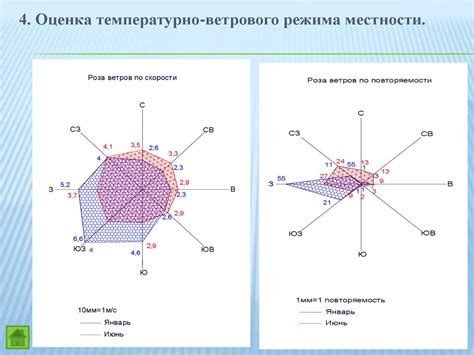 Анализ климатических и географических условий для успешного размещения шпалеры