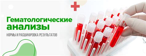 Анализ крови: как разобраться в результатах и определить состояние здоровья