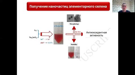 Анализ крови на признаки окислительного стресса