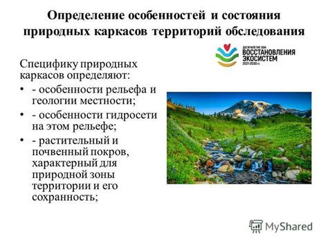 Анализ окружающей местности и условий охоты для оптимальной настройки приманки