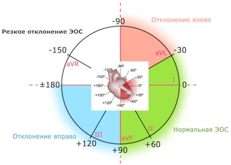 Аномалии электрической оси: разновидности и их воздействие на сердце