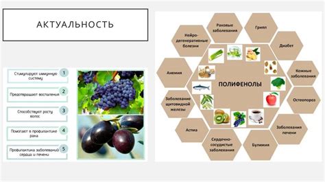 Антиоксидантные свойства экстракта облепиховых плодов