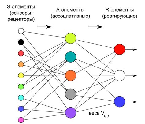 Архитектура нейронных сетей и их структура