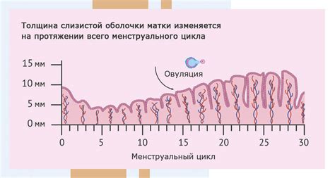 Атипичное рост эндометрия: причины и последствия