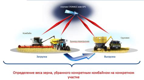 Баррель в сельском хозяйстве: измерение объема семян и зерна