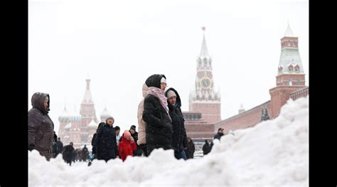 Безмятежность утреннего снежного покрова