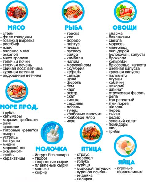 Белковые продукты для восстановления организма