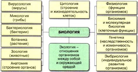 Биологическая составляющая характера