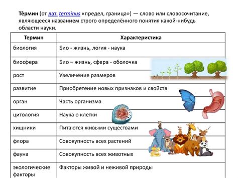 Биологические продукты как источники необходимого строительного компонента