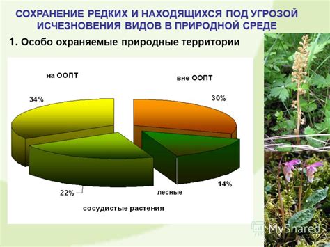 Биоразнообразие: значимость сохранения видов в природной среде