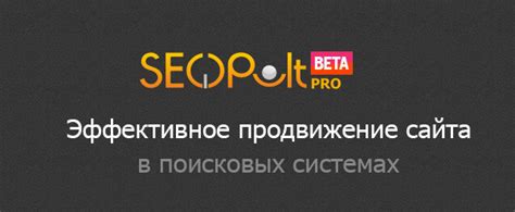 Благодаря Seopult ваш сайт имеет все шансы на успешное продвижение в поисковых системах