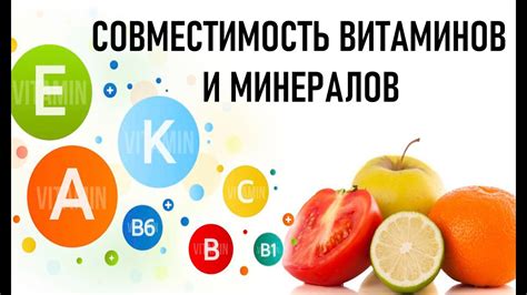 Богатое сокровище витаминов и минералов