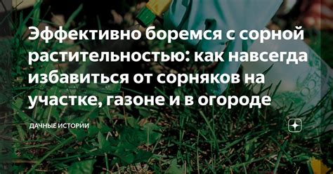 Борьба с плотной растительностью на участке: как использовать биологические факторы в свою пользу