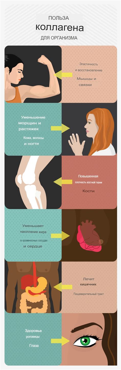 Важность антигенов для функционирования организма