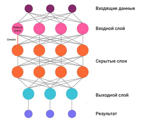 Важность весов и функций активации для работы нейронов в информатике