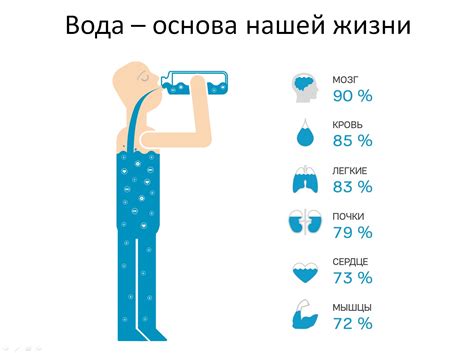 Важность воды в процессе уменьшения жира и правила его употребления