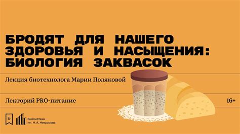 Важность волокон для здоровья и насыщения