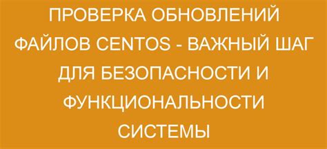 Важность обновлений для безопасности и функциональности