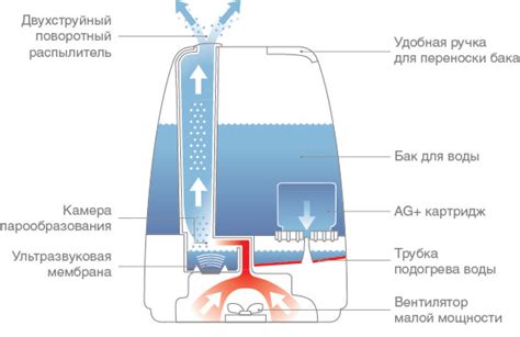 Важность поддержания оптимальной температуры и влажности