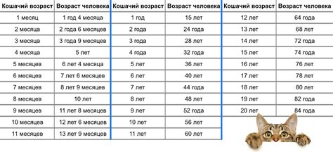 Важность понимания возраста питомца: значимость анализа данных о времени жизни домашнего хищника