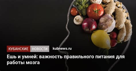 Важность правильного питания для восстановления обоняния