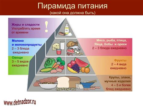 Важность правильного употребления питательных веществ