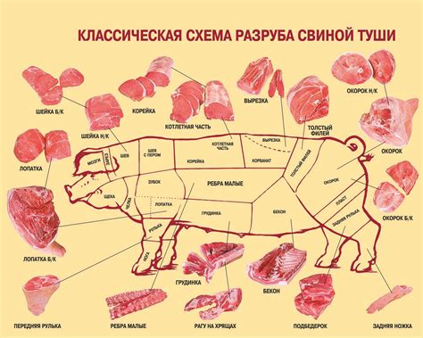 Важность правильной подготовки тузлука для свиного мяса