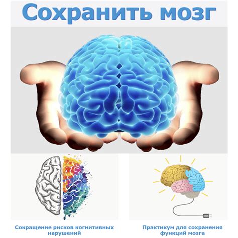 Важность социальной активности для сохранения когнитивных функций