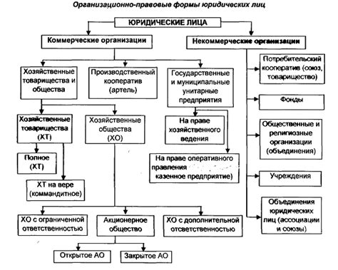 Важные этапы перед началом процесса изготовления коньяка