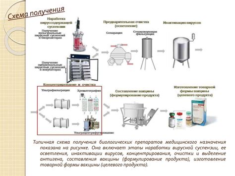 Вакцины и их компоненты - разные подходы к покрытию возбудителей заболеваний