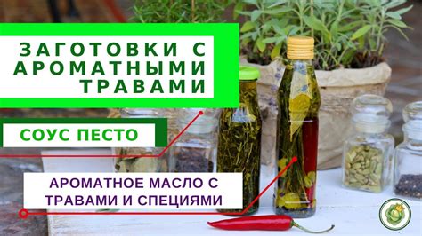 Вариации приправы: со специями и ароматными травами