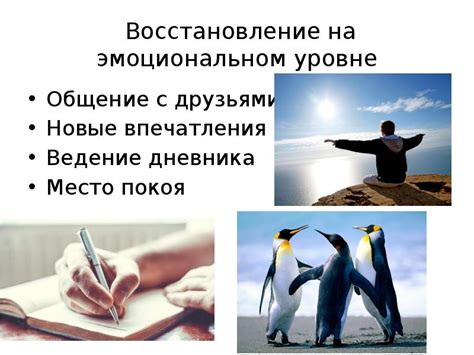 Ведение дневника: Регистрируйте впечатления и размышления в пути