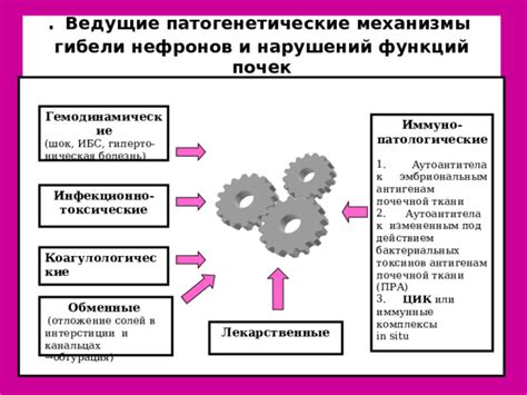 Ведущие патогенетические механизмы неспецифического генеза