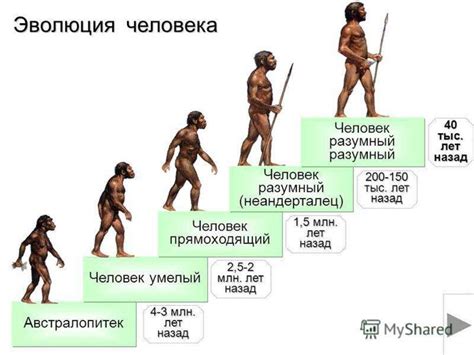 Вероисповедание и эволюция человека в социальном контексте