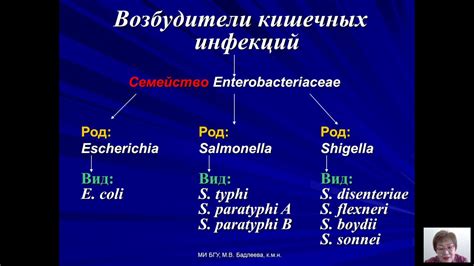 Взаимодействие вирусных и бактериальных инфекций с организмом: роль в возникновении симптомов