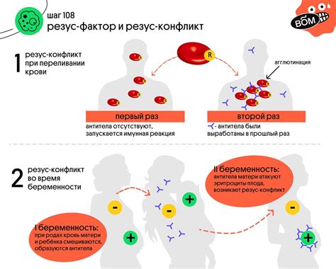 Взаимодействие иммуноглобулина и резус-конфликта: важные направления исследований