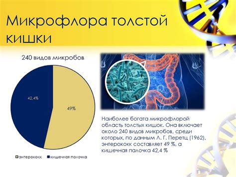 Взаимодействие микроорганизмов с кожей: почему важна роль грибковой активности