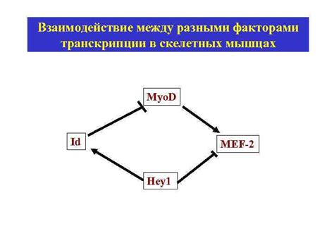 Взаимодействие с факторами транскрипции внутри клетки-хозяина