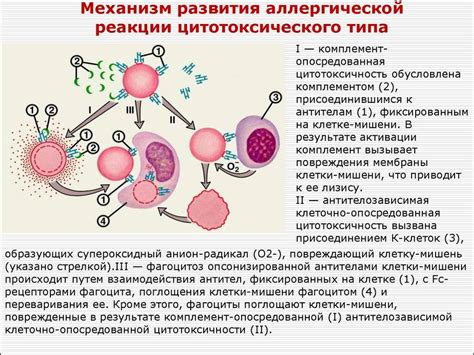 Взаимосвязь аллергической реакции и возникновение зуда: детали исследования