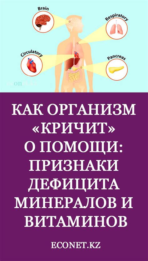 Взаимосвязь между стрессами, дефицитом микроэлементов и влиянием окружающей среды