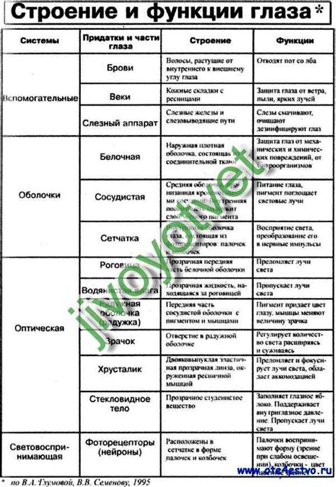 Взаимосвязь между уровнем оксигенизации и общим состоянием организма