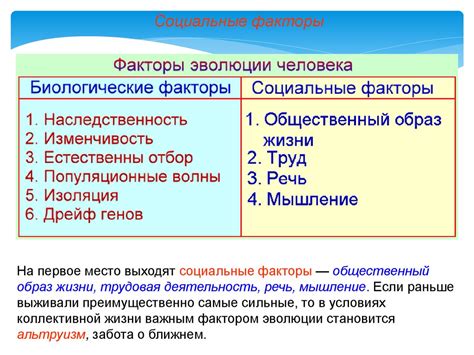 Взаимосвязь позиции тела и эволюции с учетом общественных факторов