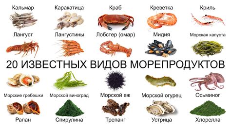 Виды морепродуктов для пиццы в стиле соленого моряка