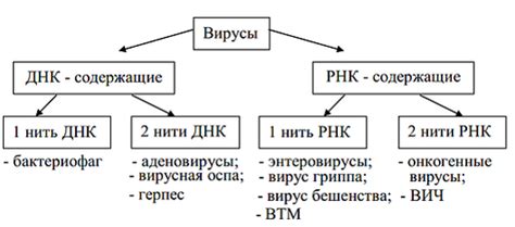 Вирус или злонамеренное ПО