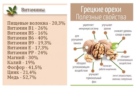 Витаминно-минеральный богатырь: изумительное богатство грецких орехов