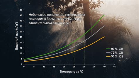 Влажность окружающего пространства: влияет ли на время сушки гидроизоляции?